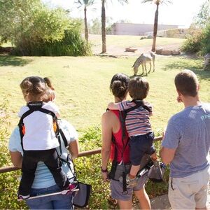 Piggyback Rider Toddler Child Standing Carrier Harness